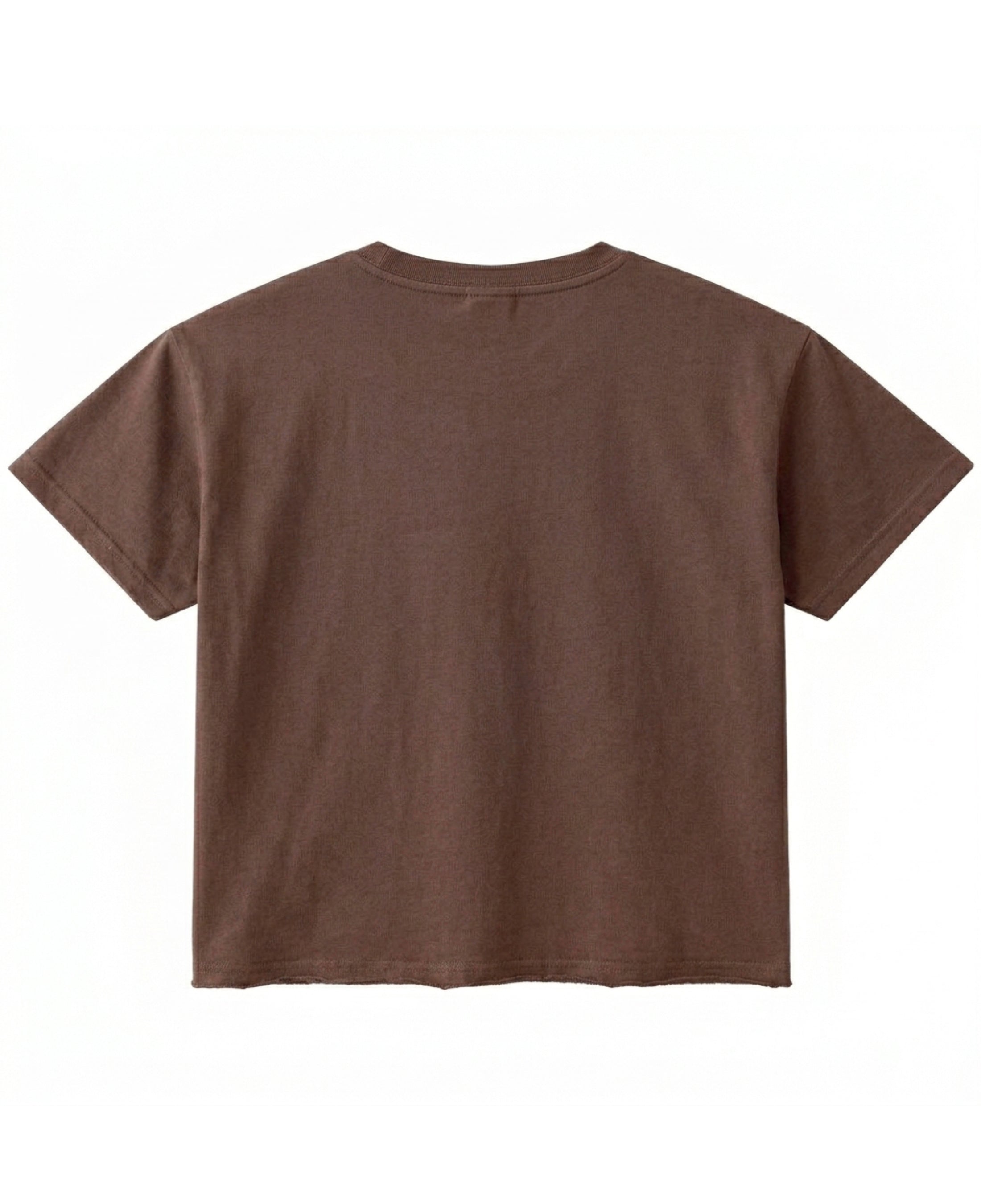 Brown Boxy Fit T-shirt Back Design
